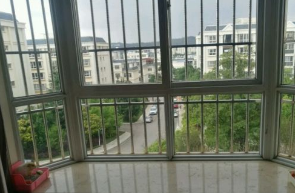 训练荷兰猪上厕所