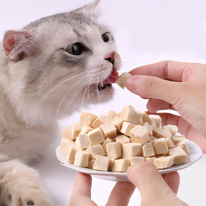 猫喜欢吃什么